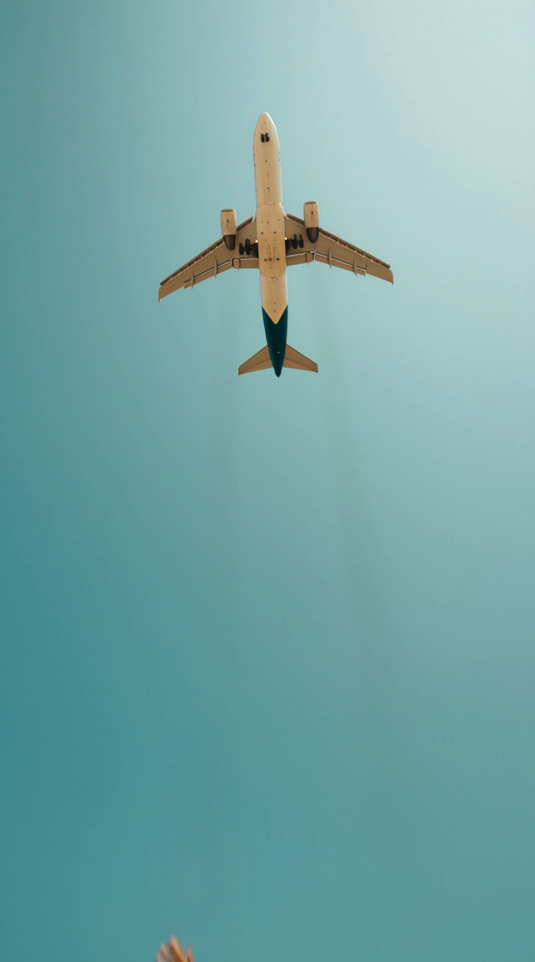 AI generated video for dramatic wedding teaser with beach lift and jet